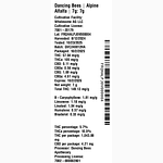 Alpine Alfalfa by Dancing Bees Apothecary