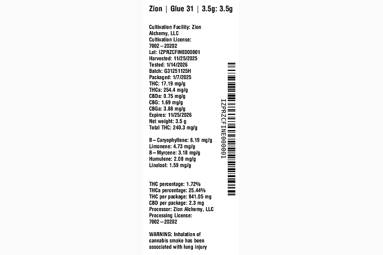 Glue 31 by Zion