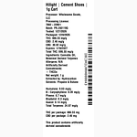 Cement Shoes by Hilight