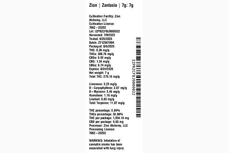 Zantasia by Zion