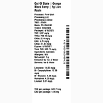 Orange Block Berry by Out of State