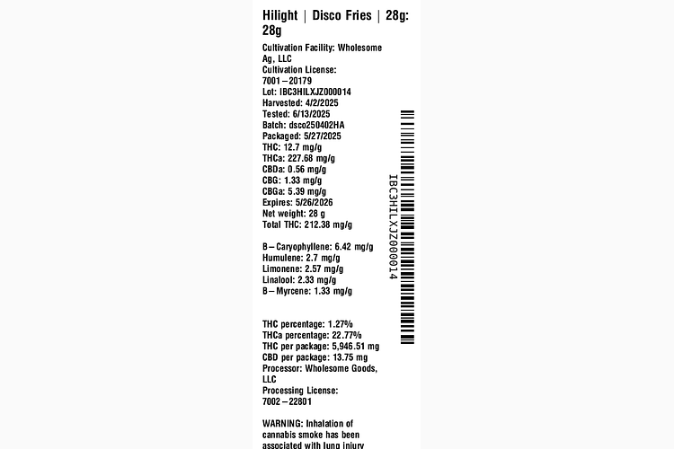 Disco Fries by Hilight