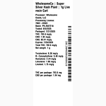 Super Silver Hash Plant by WholesomeCo