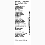 Z Devil Belts 11 by Pure Plan