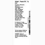 Papaya OG by Hilight