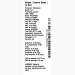 Cement Shoes by Hilight