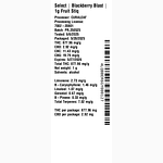 Blackberry Blast Fruit Stiq by Select