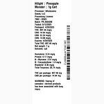 Pineapple Monster by Hilight