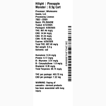 Pineapple Monster by Hilight