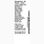 9lb Hammer by Riverside Farm