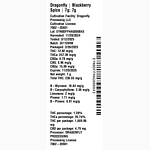 Blackberry Spice by Dragonfly