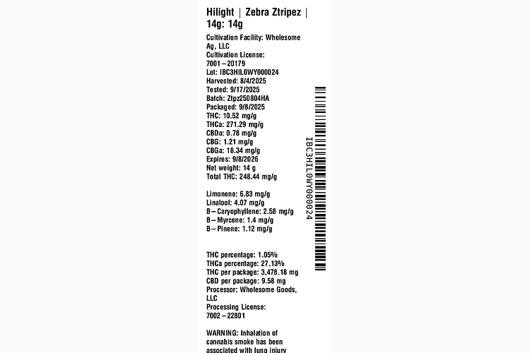 Zebra Ztripez by Hilight