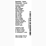 Lemon Cheesecake by Essentials