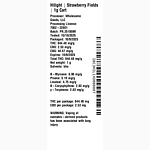 Strawberry Fields by Hilight