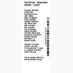 Watermelon Slurpee by Fruit of Life