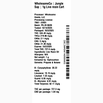 Jungle Sap by WholesomeCo