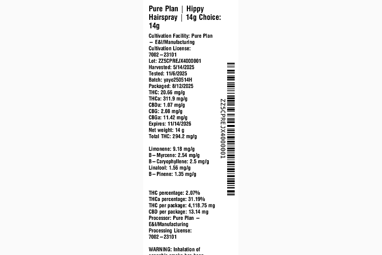 Hippy Hairspray by Pure Plan