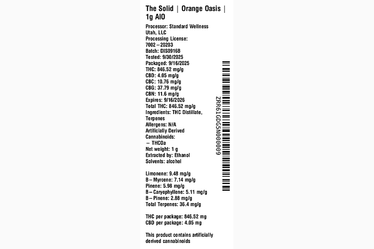 Orange Oasis by The Solid