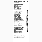 Mustard Tiger by Ritual