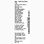 Santa Cruz Blues by Buzz