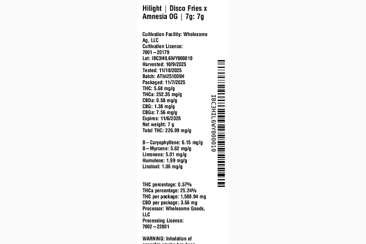 Disco Fries x Amnesia OG by Hilight