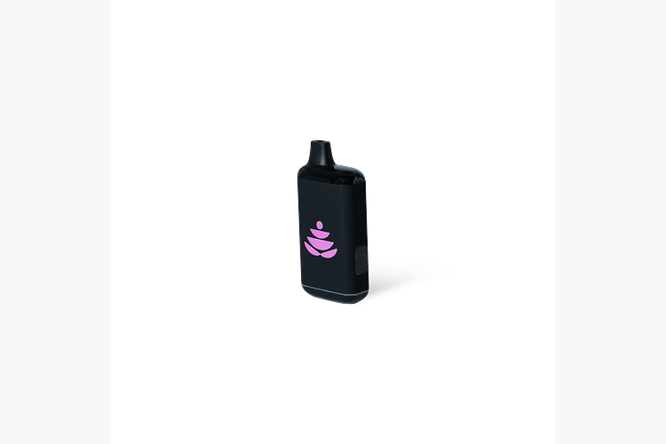 Stealth Box | Black & Pink by Myster