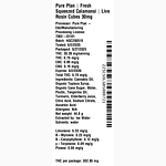 Fresh Squeezed Calamansi by Pure Plan