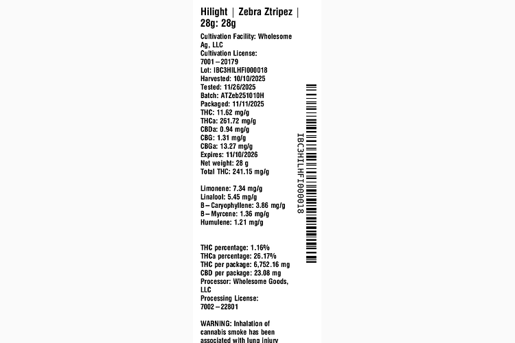 Zebra Ztripez by Hilight