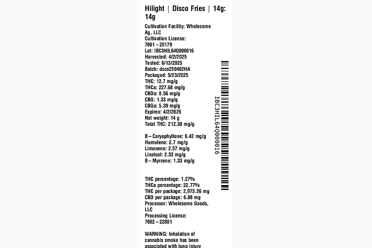 Disco Fries by Hilight