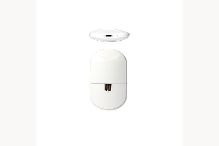 Sugar Black Rose by WholesomeCo