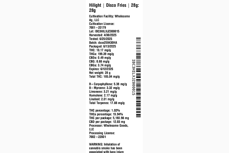 Disco Fries by Hilight