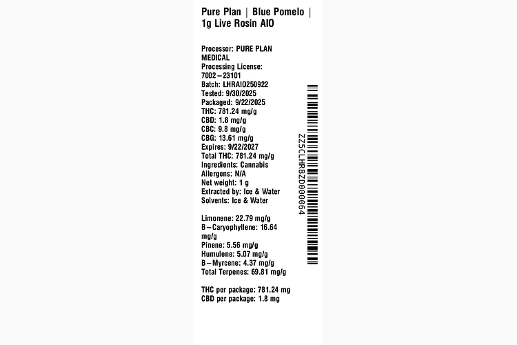 Blue Pomelo by Pure Plan