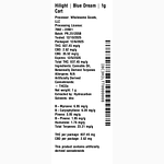 Blue Dream by Hilight