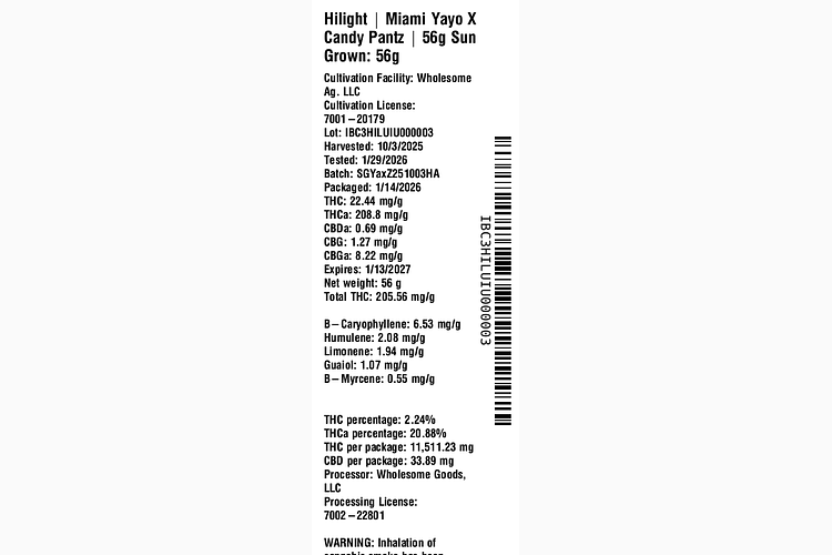 Miami Yayo X Candy Pantz by Hilight