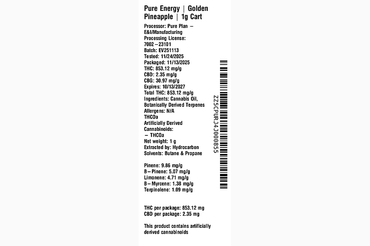 Golden Pineapple by Pure Plan