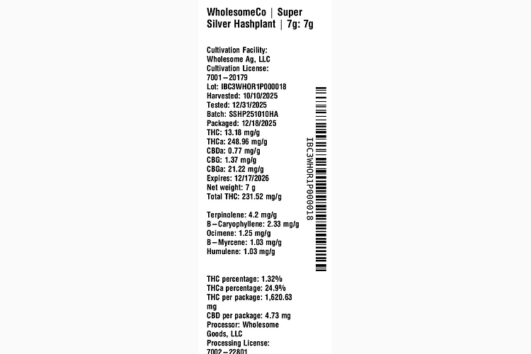 Super Silver Hashplant by WholesomeCo