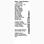 Sweet Strawberry 1g Fruit Stiq by Select