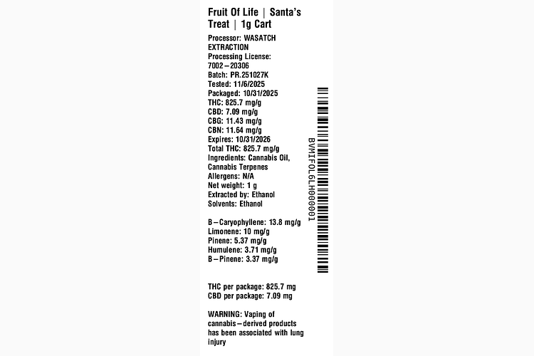 Santa's Treat by Fruit of Life