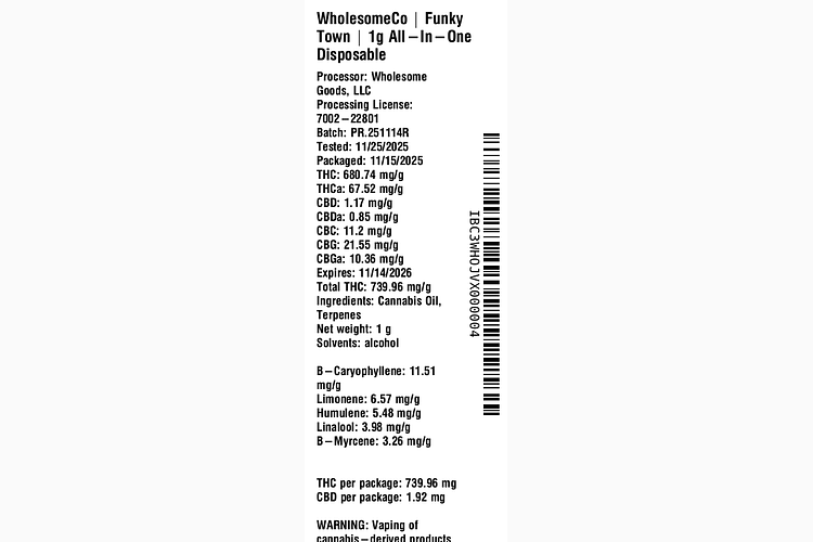 Funky Town by WholesomeCo