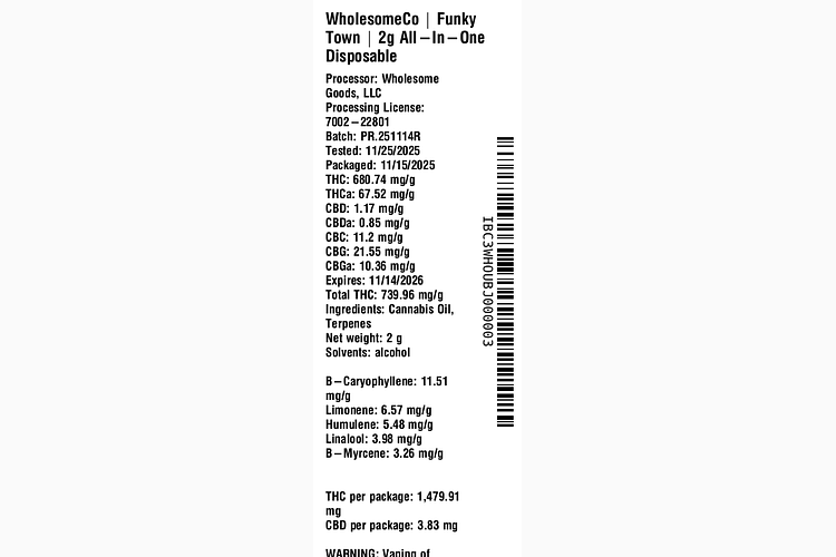 Funky Town by WholesomeCo