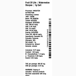 Watermelon Slurpee by Fruit of Life