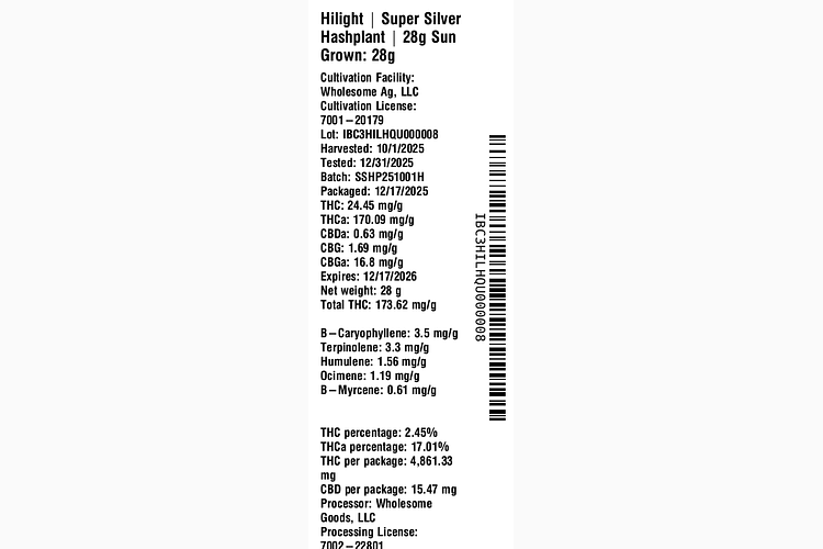 Super Silver Hashplant by Hilight