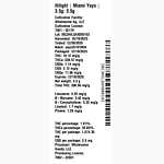 Miami Yayo by Hilight