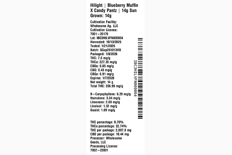 Blueberry Muffin X Candy Pantz by Hilight