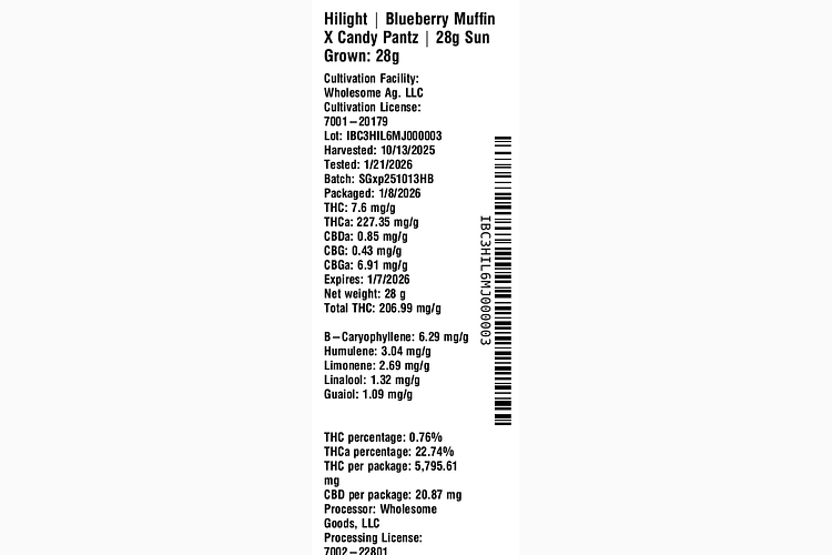 Blueberry Muffin X Candy Pantz by Hilight