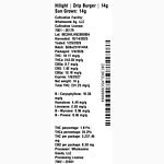 Drip Burger by Hilight