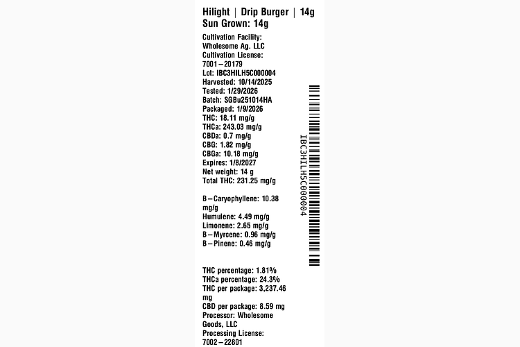 Drip Burger by Hilight