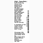 Papaya Mania by Hilight