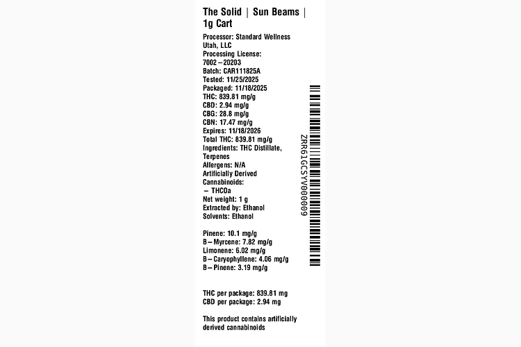 Sun Beams by The Solid