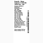 Mango Tangerine by Dragonfly